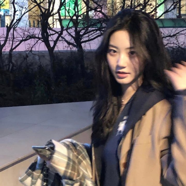 向往的生活老友记